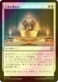 FOIL] シガルダ教の使者、カイラー/Kyler, Sigardian Emissary 【日本