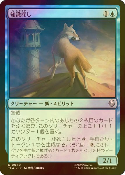 画像1: [FOIL] 知識探し/Knowledge Seeker 【日本語版】 [TLA-青U] (1)