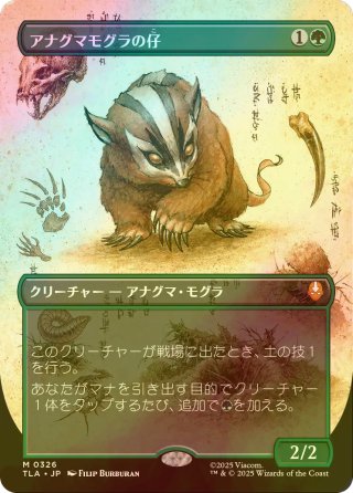 シングルスター｜MTG専門店】新商品の品揃えが日本最大級