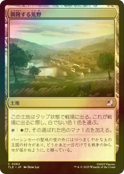 画像1: [FOIL] 興隆する荒野/Thriving Heath 【日本語版】 [TLE-土地C] (1)