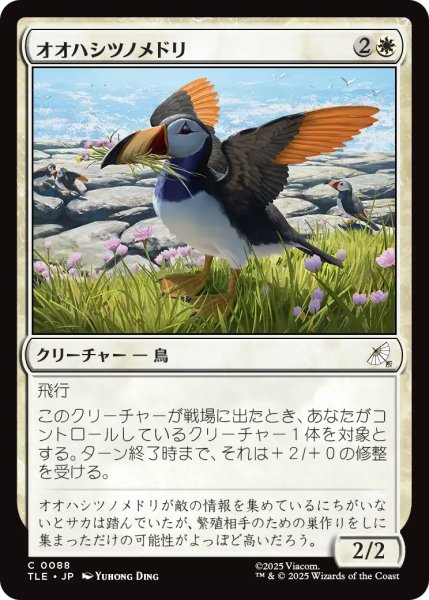 画像1: オオハシツノメドリ/Toucan-Puffin 【日本語版】 [TLE-白C] (1)
