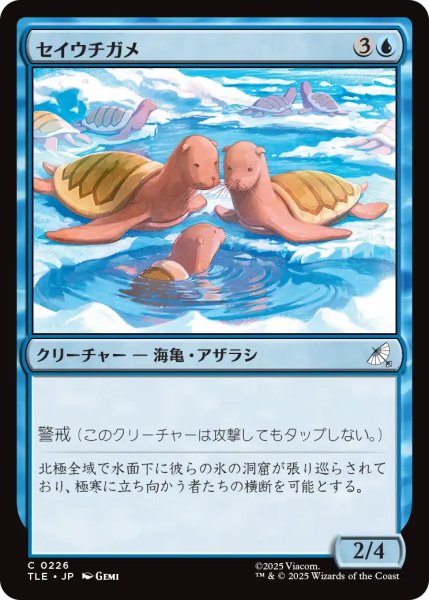 画像1: セイウチガメ/Turtle-Seals 【日本語版】 [TLE-青C] (1)