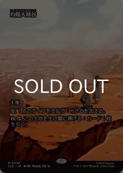 画像1: 灼陽大峡谷/Sunbaked Canyon (全面アート版) 【日本語版】 [TLE-土地MR] (1)
