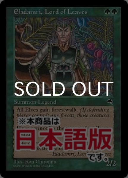 画像1: 葉の王エラダムリー/Eladamri, Lord of Leaves (TMP/緑R/日/通常/NM) ※詳細要確認 (1)