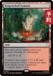 画像1: 竜髑髏の山頂/Dragonskull Summit 【英語版】 [TRC-土地R] (予約J) (1)