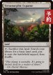画像1: 広漠なる変幻地/Terramorphic Expanse 【英語版】 [TRC-土地C] (予約J) (1)