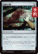 画像1: 秘儀の印鑑/Arcane Signet 【日本語版】 [TRC-灰U] (予約J) (1)