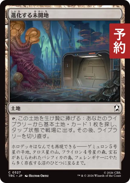 画像1: 進化する未開地/Evolving Wilds 【日本語版】 [TRC-土地C] (予約J) (1)