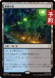 画像1: 異臭の池/Fetid Pools 【日本語版】 [TRC-土地R] (予約J) (1)