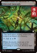 画像1: 水没した地下墓地/Drowned Catacomb (拡張アート版) 【英語版】 [TRC-土地R] (予約J) (1)