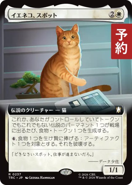画像1: イエネコ、スポット/Spot, Felis catus (拡張アート版) 【日本語版】 [TRC-白R] (予約K) (1)