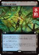 画像1: 水没した地下墓地/Drowned Catacomb (拡張アート版) 【日本語版】 [TRC-土地R] (予約J) (1)