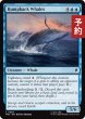 画像1: ザトウクジラ/Humpback Whales 【英語版】 [TRK-青C] (予約J) (1)