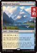 画像1: 神聖なる泉/Hallowed Fountain 【英語版】 [TRK-土地R] (予約J) (1)