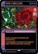 画像1: 死など大したことない/Death Is Irrelevant (ショーケース版) 【英語版】 [TRK-黒MR] (予約J) (1)