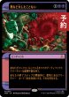 画像1: 死など大したことない/Death Is Irrelevant (ショーケース版) 【日本語版】 [TRK-黒MR] (予約J) (1)