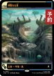 画像1: 神聖なる泉/Hallowed Fountain (ショーケース版) 【日本語版】 [TRK-土地R] (予約J) (1)