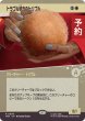 画像1: トラブル続きのトリブル/Troubling Tribbles (ショーケース版) 【日本語版】 [TRK-白R] (予約J) (1)