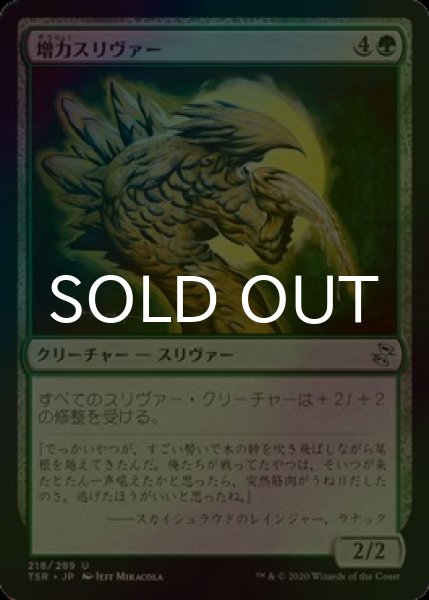 画像1: [FOIL] 増力スリヴァー/Might Sliver 【日本語版】 [TSR-緑U] (1)