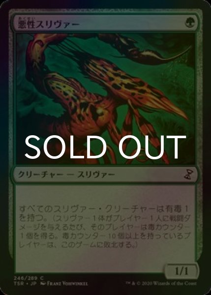 画像1: [FOIL] 悪性スリヴァー/Virulent Sliver 【日本語版】 [TSR-緑C] (1)