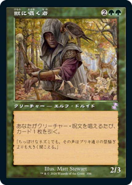 画像1: 獣に囁く者/Beast Whisperer (旧枠) 【日本語版】 [TSR-緑TS] (1)