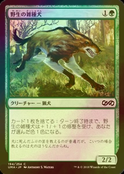 画像1: [FOIL] 野生の雑種犬/Wild Mongrel 【日本語版】 [UMA-緑C] (1)