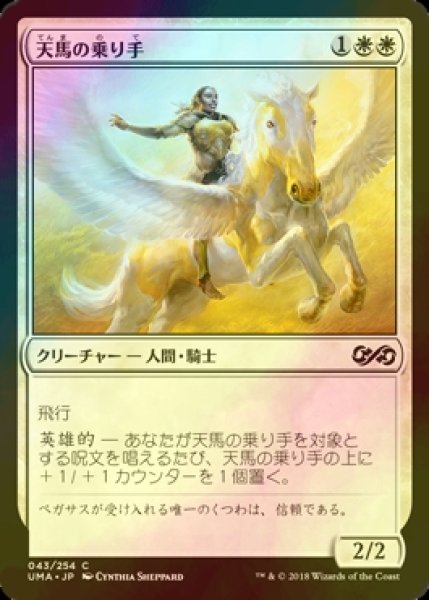 画像1: [FOIL] 天馬の乗り手/Wingsteed Rider 【日本語版】 [UMA-白C] (1)