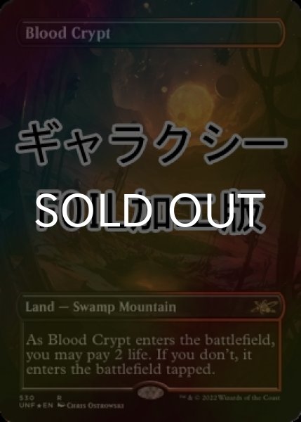 画像1: [FOIL] 血の墓所/Blood Crypt (全面アート版、ギャラクシー仕様) 【英語版】 [UNF-土地R] (1)