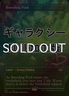 繁殖池 - シングルスター