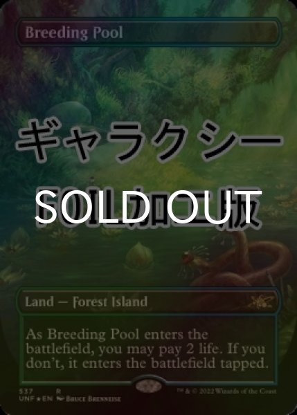 画像1: [FOIL] 繁殖池/Breeding Pool (全面アート版、ギャラクシー仕様) 【英語版】 [UNF-土地R] (1)