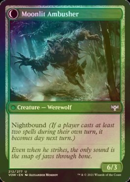 画像2: [FOIL] 樫影の忍び寄るもの/Oakshade Stalker 【英語版】 [VOW-緑U] (2)