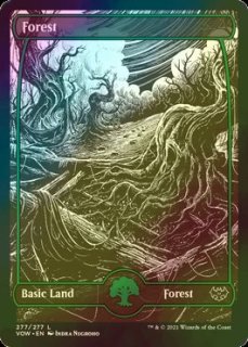 MTG 英語版　覆いを割く者、ナーセット 旧枠 NonFoil 4枚セット FOIL] 覆いを割く者、ナーセット/Narset, Parter of Veils (全面