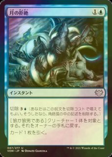 mtg オセロットの群れ ボーダーレスfoil 日本語版 猫トークン付き FOIL] オセロットの群れ/Ocelot Pride (海外産ブースター版