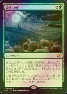 Foil ナントゥーコの影/Nantuko Shade 4枚セット ミントモール / MINT GAMES MTG(東日本橋) / 【DMR】【JPN