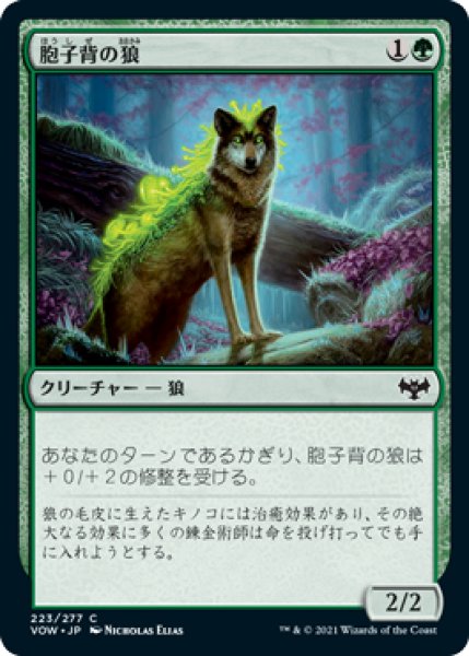 画像1: 胞子背の狼/Sporeback Wolf 【日本語版】 [VOW-緑C] (1)