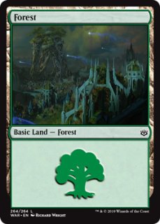 アルファ　α 基本土地　森 MTG アルファ 基本土地 森 ⑤｜おもちゃ、ゲーム