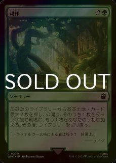 エルドレインの森 日本語版 統率者デッキ 美徳と武勇 1BOX - シングル