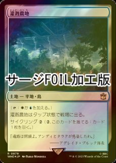 特殊セット（FOIL）- MTG専門店シングルスター (Page 101)