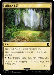神河:輝ける世界 日本語版 プレリリースパック 1BOX - シングルスター