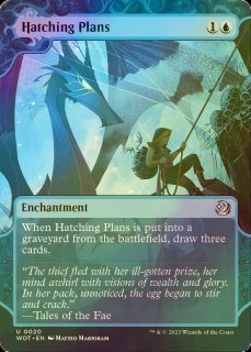 MTG 禁忌の果樹園 FOIL ZEN EXP 英語版 323)《禁忌の果樹園/Forbidden Orchard》[2X2] 土地R | 日本最大