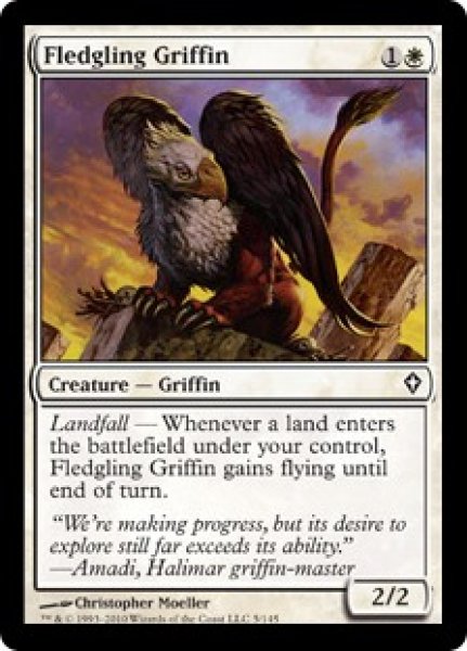 画像1: 巣立つグリフィン/Fledgling Griffin 【英語版】 [WWK-白C] (1)