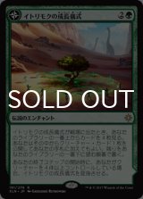 無声開拓地　日4枚 Foil】(246)《無声開拓地/Silent Clearing》[MH1] 土地R | 日本