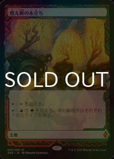 FOIL] 虚空の杯/Chalice of the Void (旧枠) 【日本語版】 [TSR-灰TS