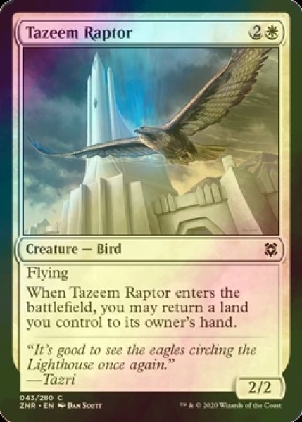 画像1: [FOIL] タジームの猛禽/Tazeem Raptor 【英語版】 [ZNR-白C] (1)