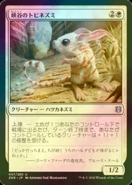 画像1: [FOIL] 峡谷のトビネズミ/Canyon Jerboa 【日本語版】 [ZNR-白U] (1)