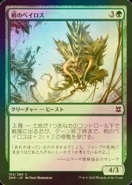 画像1: [FOIL] 梢のベイロス/Canopy Baloth 【日本語版】 [ZNR-緑C] (1)