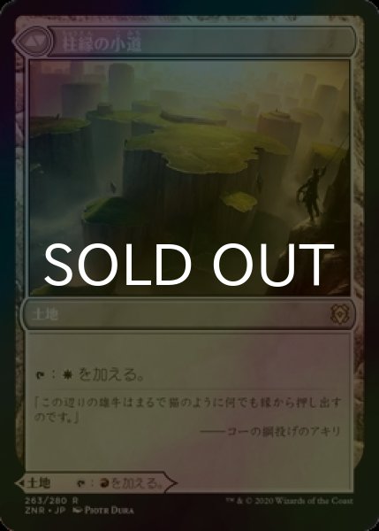 画像2: [FOIL] 針縁の小道/Needleverge Pathway 【日本語版】 [ZNR-土地R] (2)