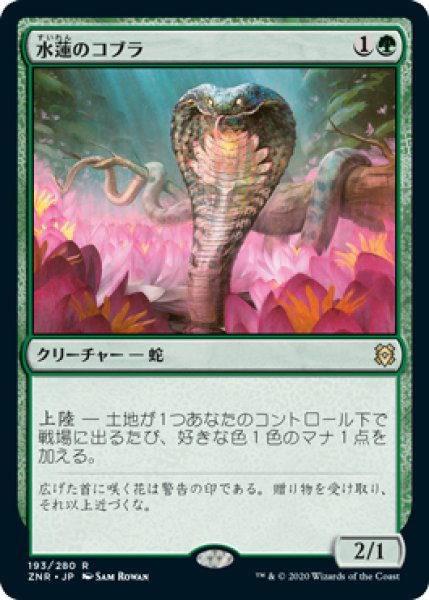 画像1: 水蓮のコブラ/Lotus Cobra 【日本語版】 [ZNR-緑R] (1)