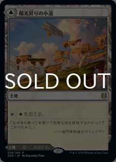 団結のドミナリア 日本語版 セットブースター 1BOX - シングルスター