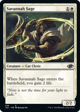 サバンナ savannah MTG 英語 - www.mietkleidung24.de